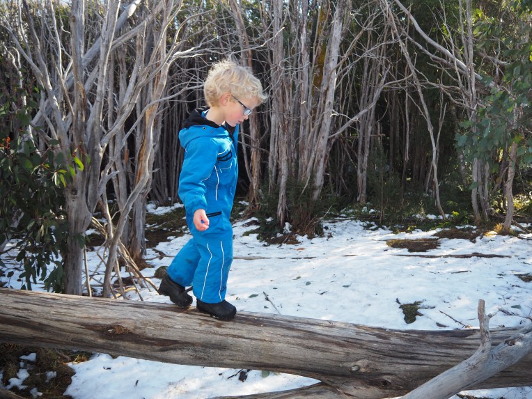 Lake Mountain Boy on Tree.JPG